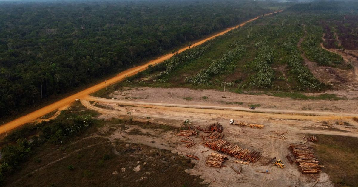 Deforestación en la Amazonía brasileña cae 41,8 % y marca su nivel más bajo desde 1988